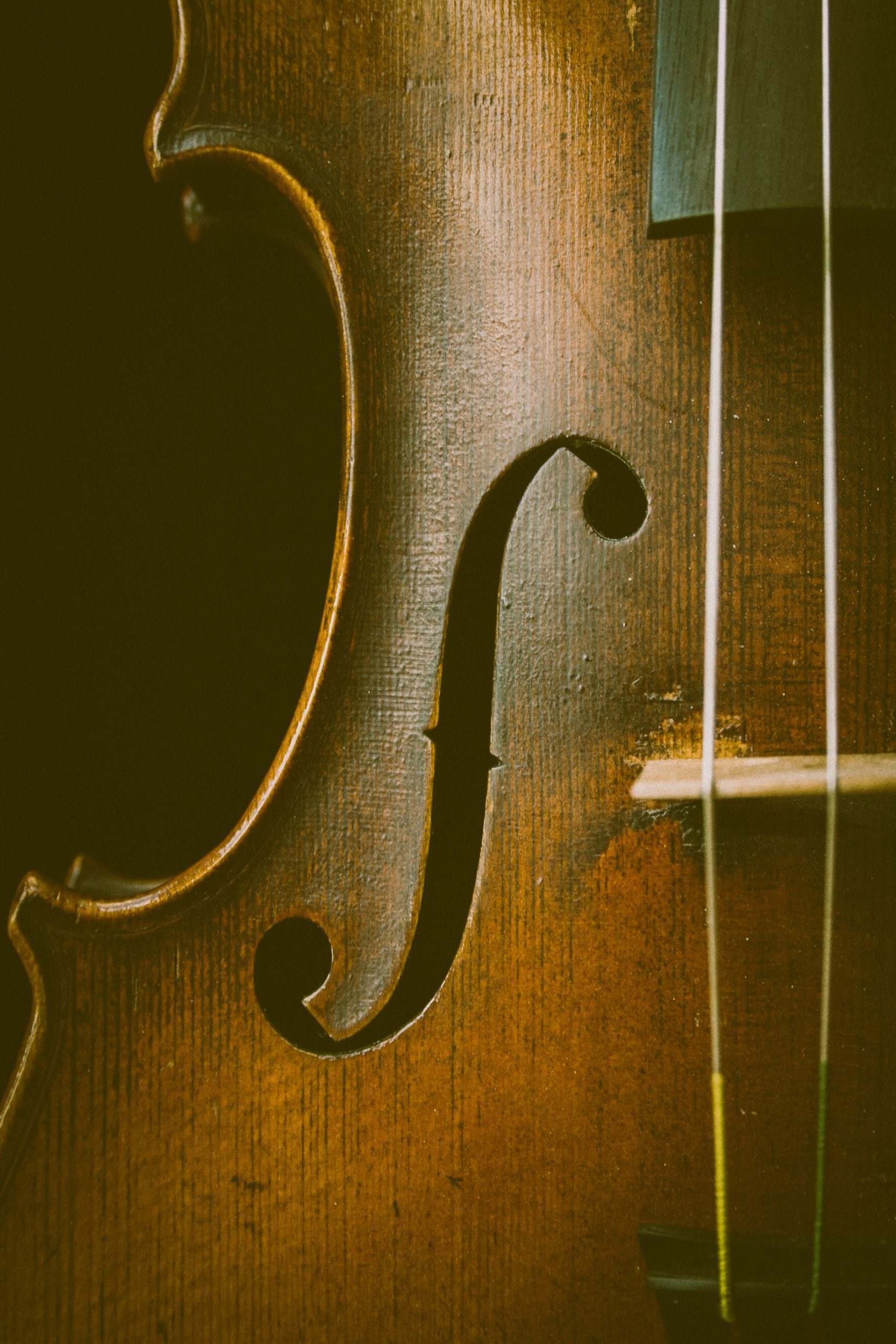 A close up photo of a violin