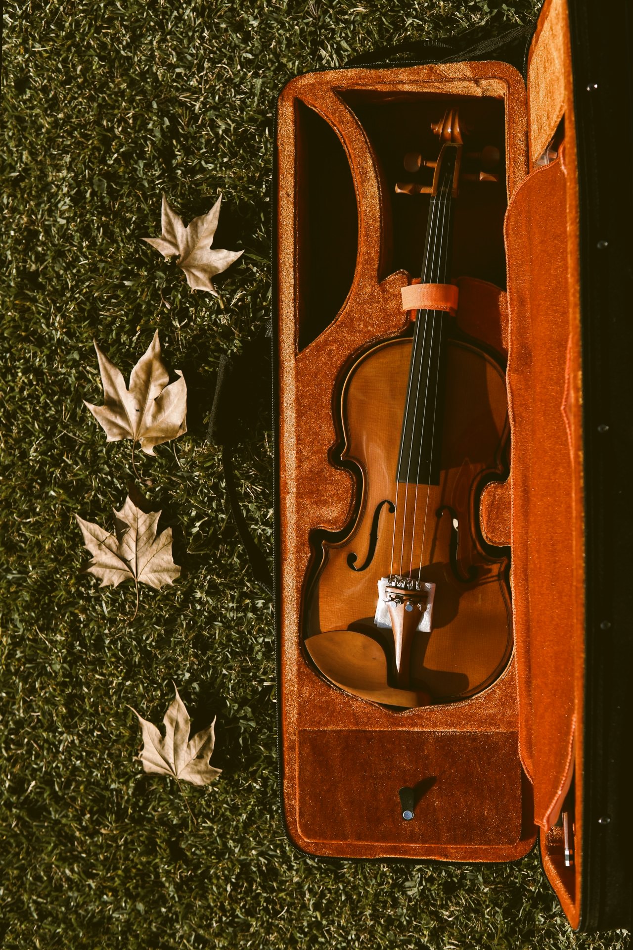 A photo of a violin in its case