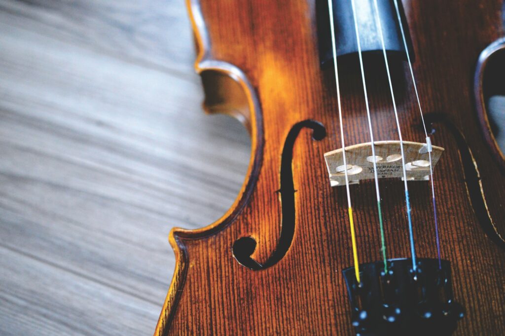 A close up image of a violin